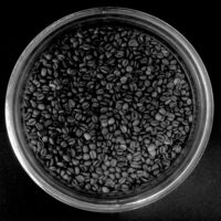 Dark nectar