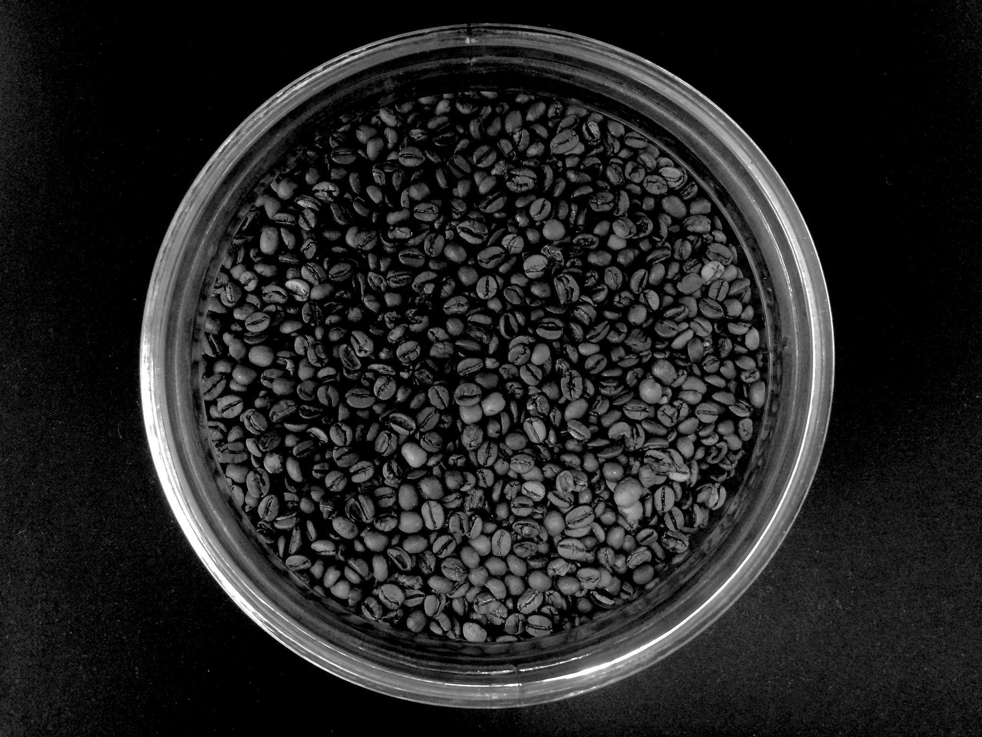 Dark nectar
