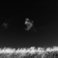 img_4148.jpg