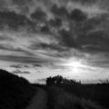 img_4617-1.jpg
