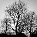 img_4907
