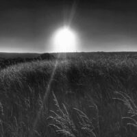 Sunset Ladyhill