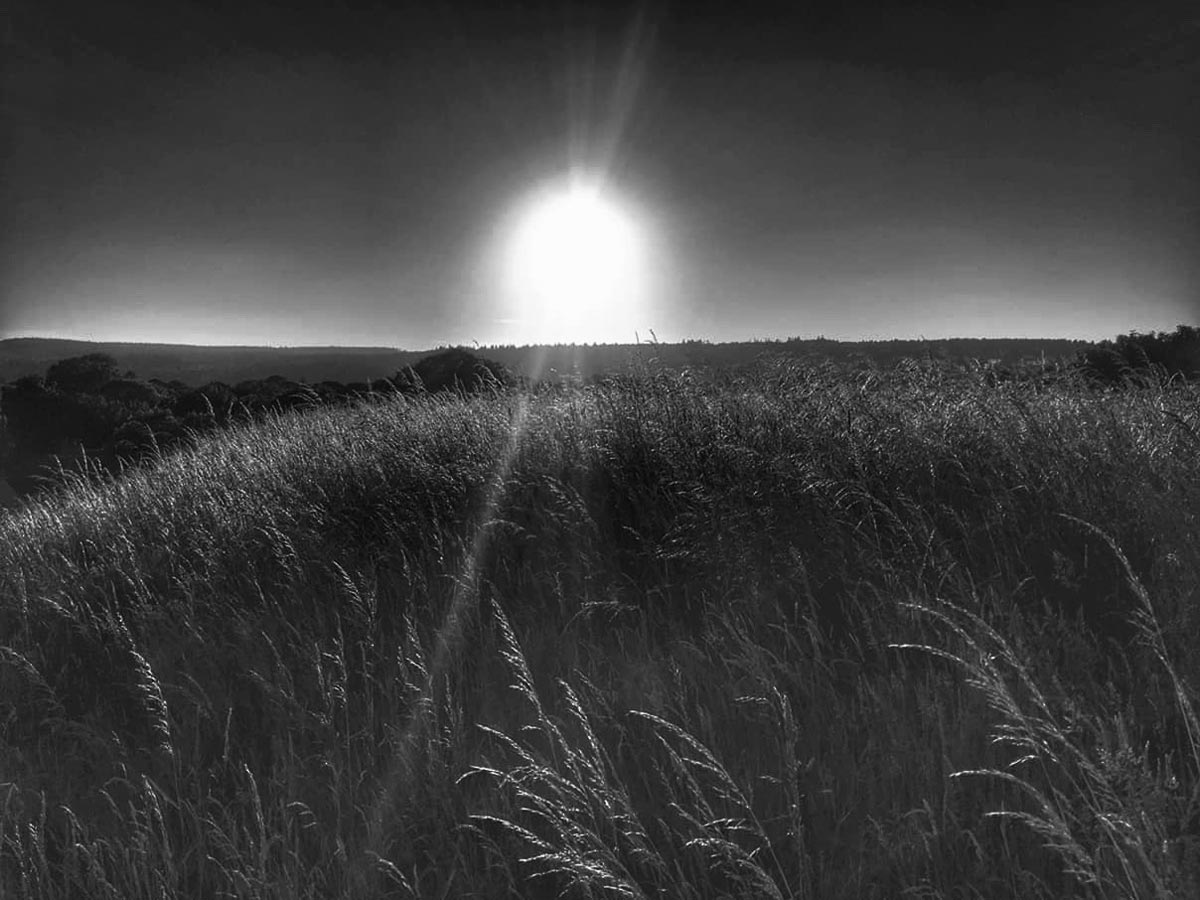 Sunset Ladyhill